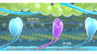 カムザイオスの作用機序