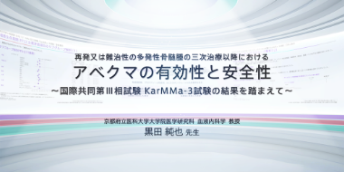 再発又は難治性の多発性骨髄腫の三次治療以降におけるアベクマの有効性と安全性～国際共同第Ⅲ相試験 KarMMa-3試験の結果を踏まえて～