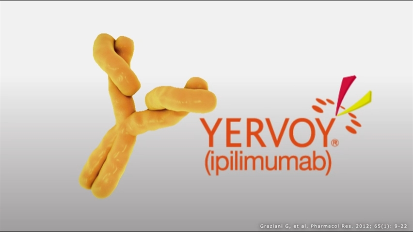 ヤーボイ作用機序　動画