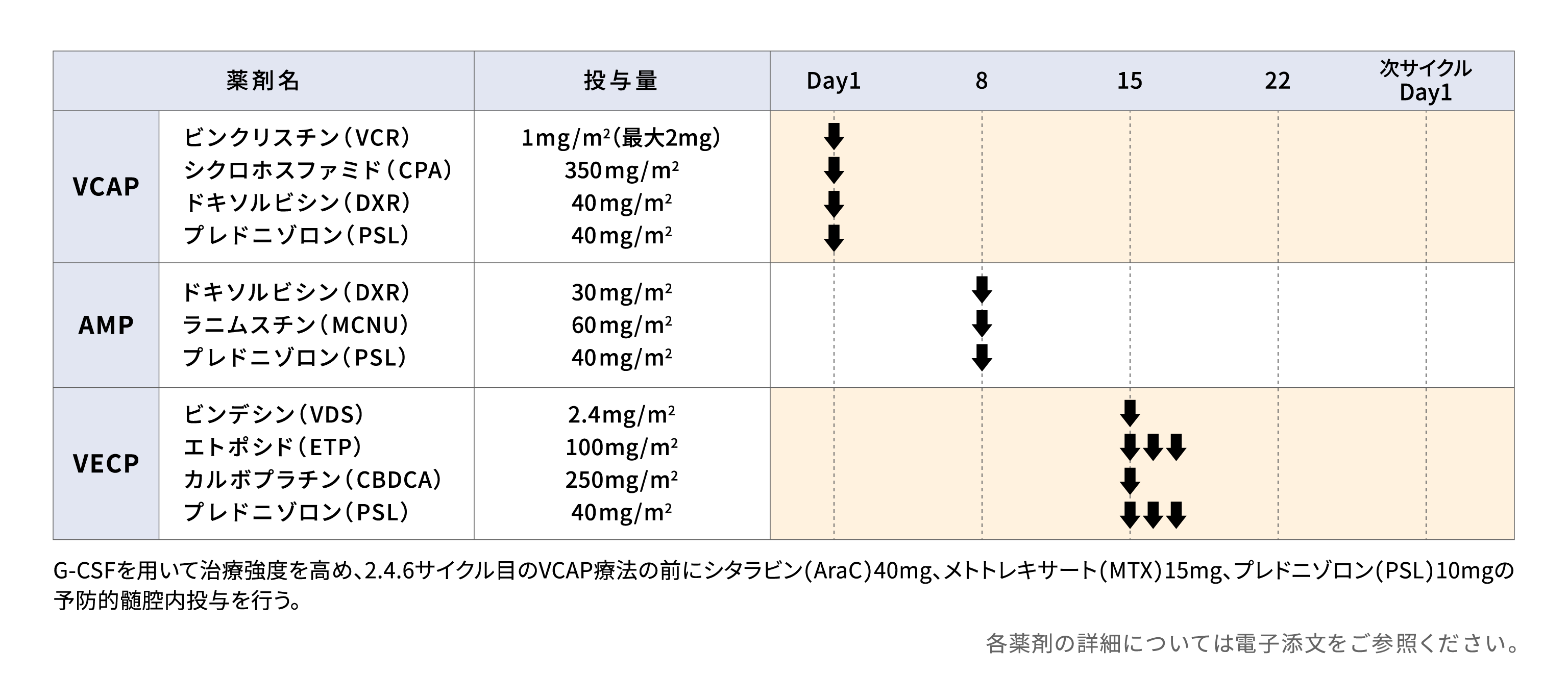 mLSG15（VCAP-AMP-VECP）療法