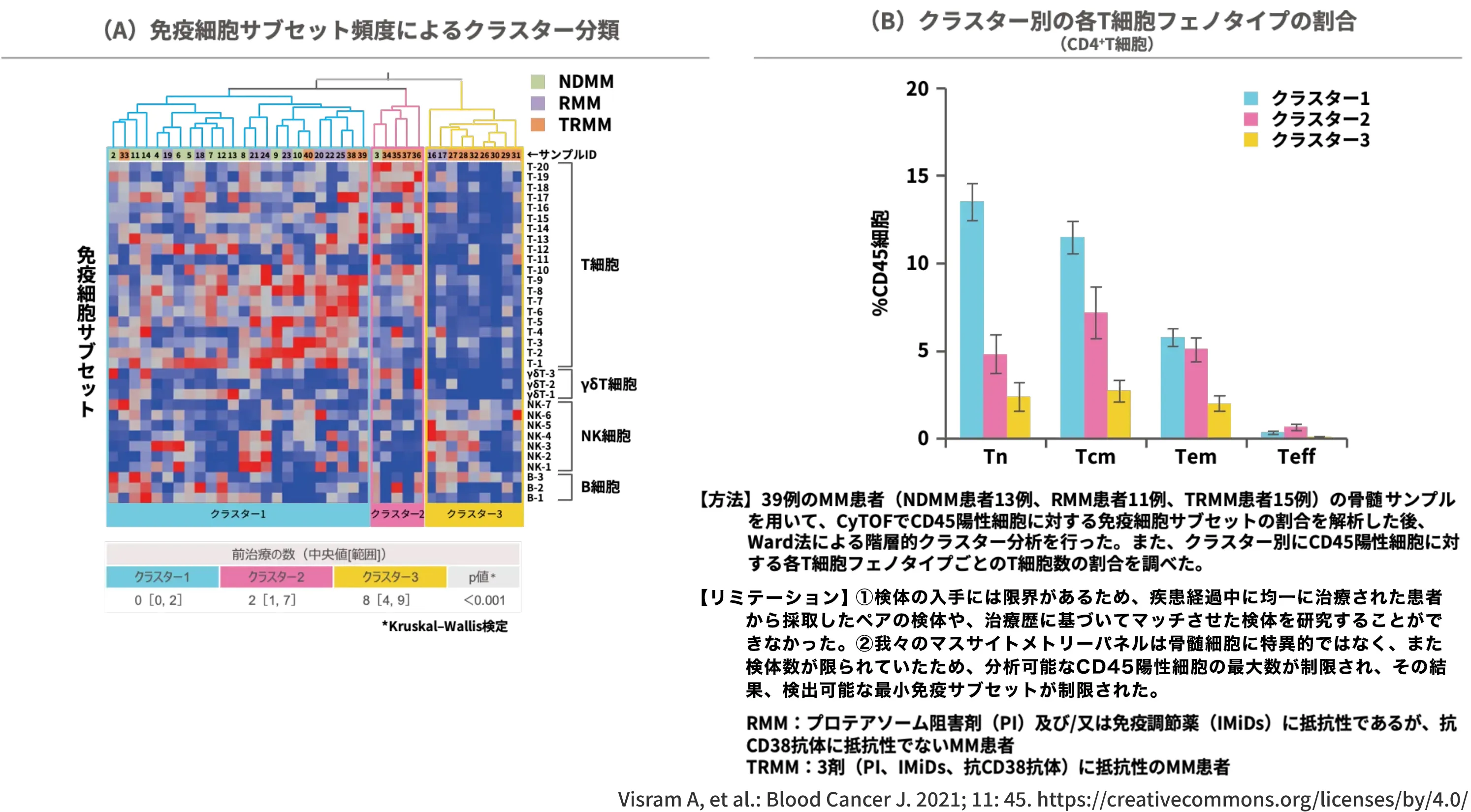 ヒトT細胞分化の階層モデル