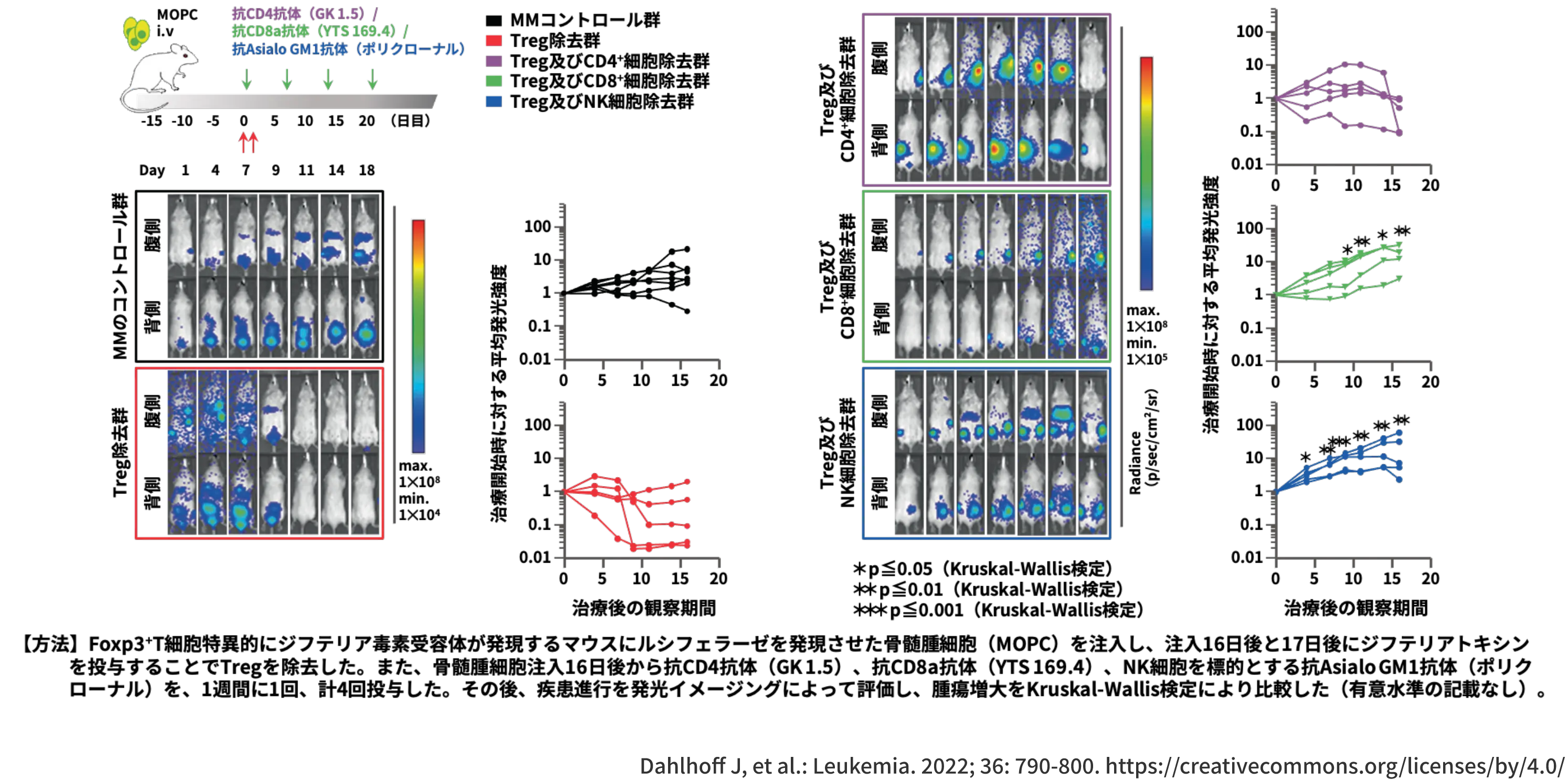 制御性T細胞（Treg）に加えてCD8+細胞やNK細胞を除去した群ではTregのみを除去した群と 比較して経時的に有意な腫瘍増大が観察された（p値及び検定法はスライド内に記載）（マウス）
