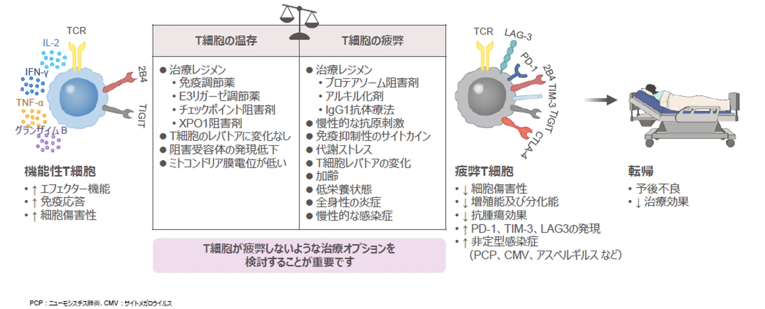 患者予後に影響するT-cell fitnessは様々な因子によって変化する
