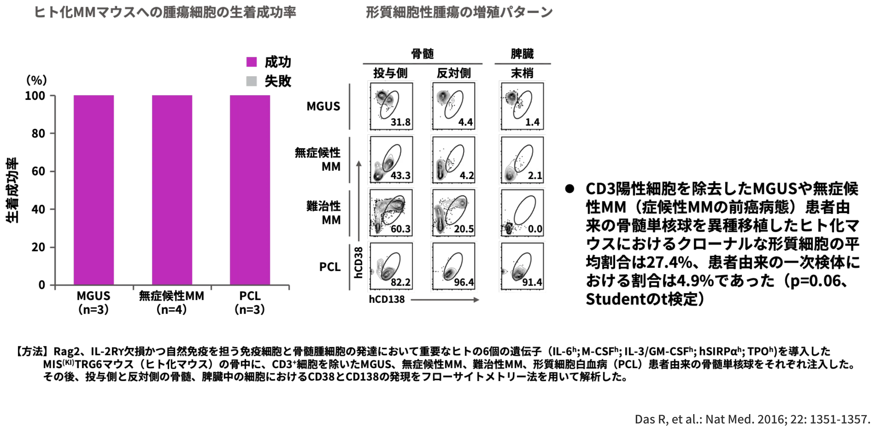 ヒト化マウスへのCD3陽性細胞を除去した患者由来（MGUS、無症候性MM、難治性MM、 PCL）の骨髄単核球の異種移植後に骨髄腫細胞の生着や増殖が観察された（マウス）