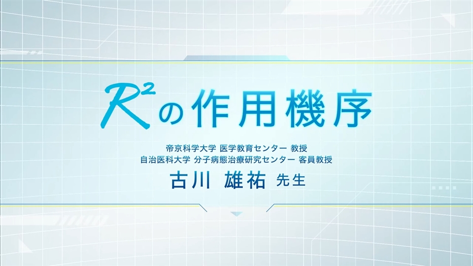 濾胞性リンパ腫(FL)におけるT細胞機能不全/R²の作用機序