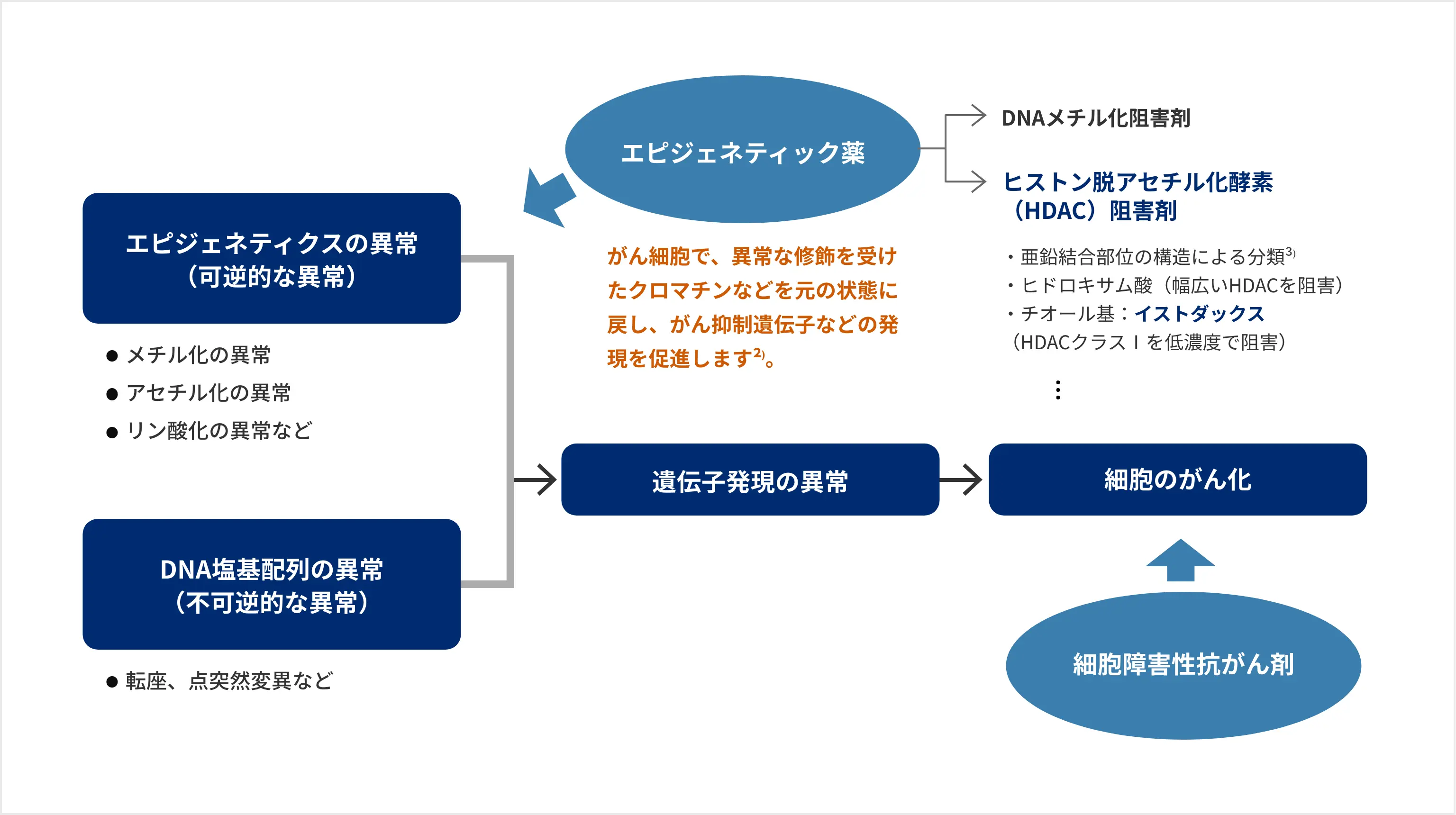 がん発生の原因とエピジェネティック薬